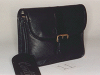 Executive Portfolio Bags (11)